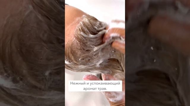 Увлажняющий шампунь Balance Pure Shampoo Lux Premium Botanifique смотреть онлайн