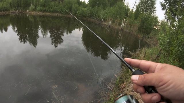 Ловля карася на спиннинг в мае. Рыбалка перед закатом. #LiveSL смотреть онлайн
