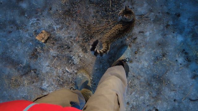 Деревенская движуха, рабочее место смотреть онлайн