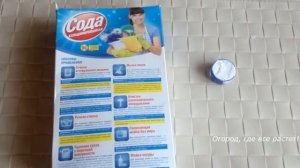 201. Безопасное и надёжное средство от тли