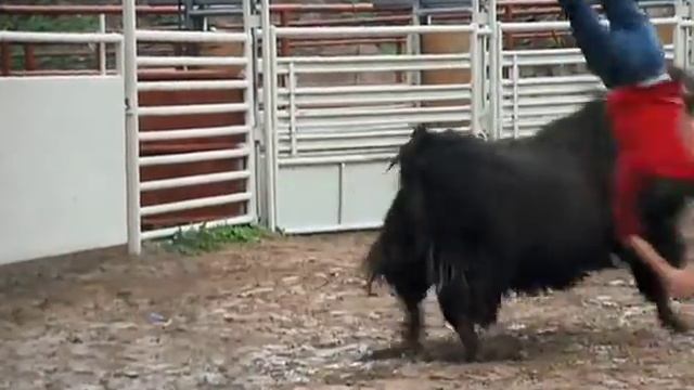 Джонни Ноксвил и Бык Чудаки 2 смотреть онлайн