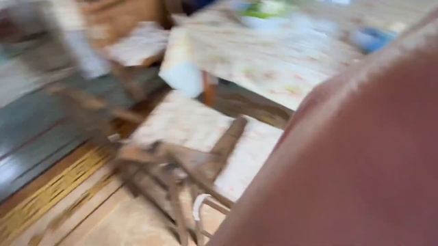 СУПЕР ВЛОГ ИЗ НАШЕГО САДА! Мега огромные насекомые и как мы развлекаемся в саду? Все в одном видео смотреть онлайн