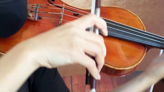 Ifstrings Private Stock VSA Custom Guarneri del Gesu 1741 "Vieuxtemps"_2 смотреть онлайн