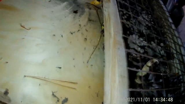 Дом (отель) для полезных насекомых своими руками.