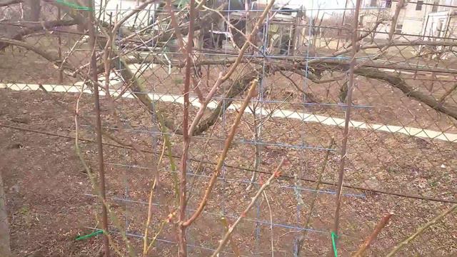 25.03.2022. Мы на Даче. смотреть онлайн