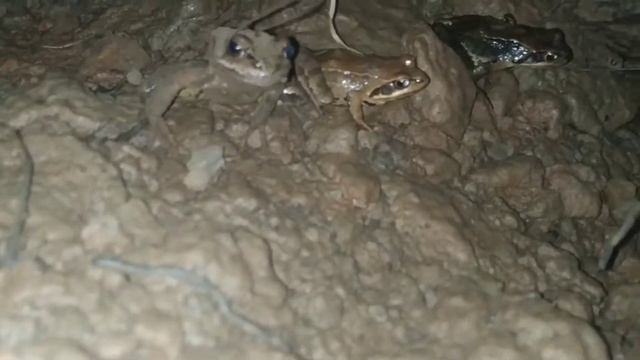 Копал яму на даче и обнаружил целое подземелье смотреть онлайн