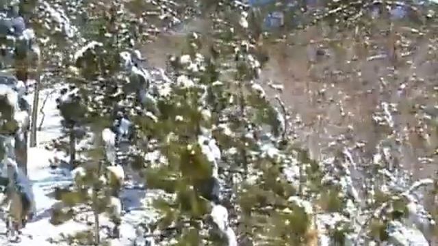 ЧАЙКОВСКИЙ Сладкая Грёза смотреть онлайн
