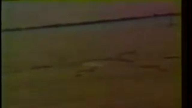 Появление кругов на полях.. смотреть онлайн