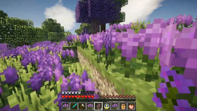 Лавандовые поля Minecraft_ смотреть онлайн