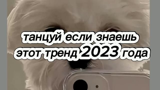 Танцуй если знаешь этот тренд 2023 года