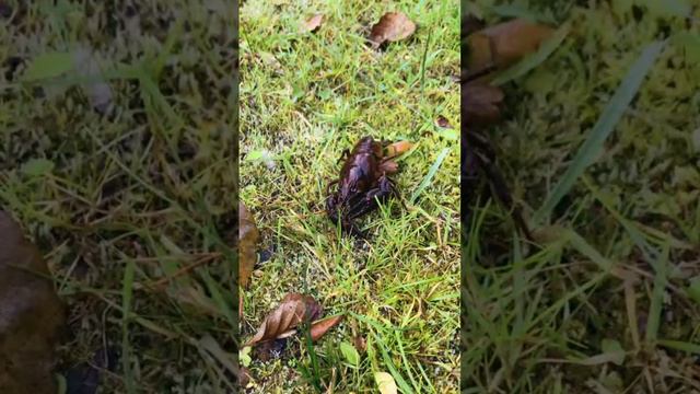 Осень в Усадьбе Антропково — это время уюта и тепла у камина🏠Подарите себе незабываемые моменты!