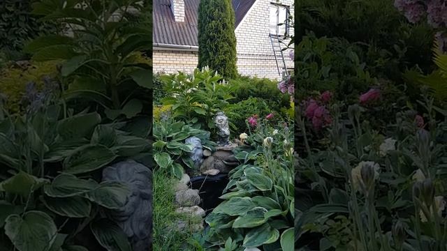 Летний розовый сад смотреть онлайн