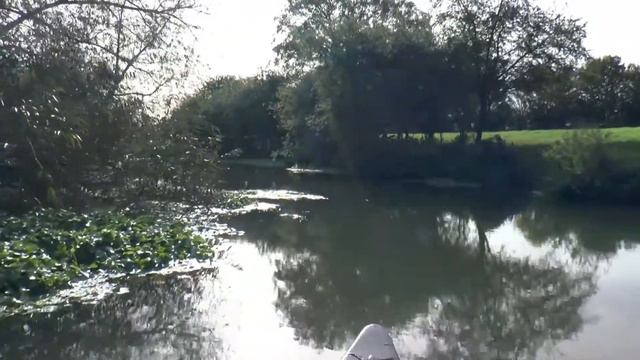 Floating Pennywort on River Cam Pinch point 1 смотреть онлайн
