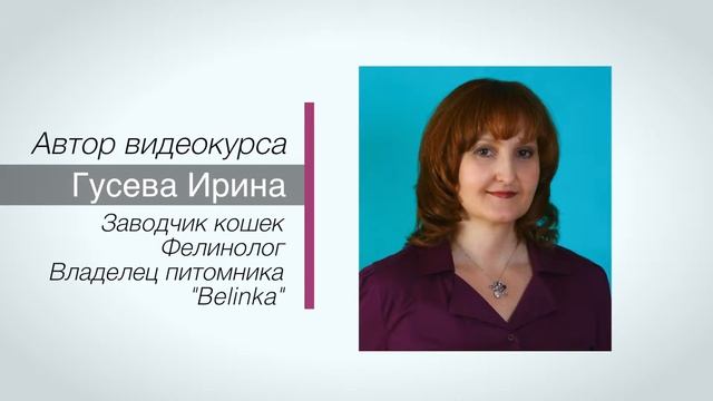Видеокурс Секреты ухода за любимой кошкой-промо смотреть онлайн
