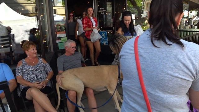 Как живут в маленьком американском городке. РЕАЛИТИ ВЛОГ. смотреть онлайн