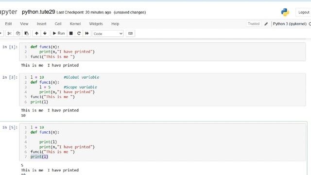 what is scope and global variables in python|scope and global variables in python смотреть онлайн