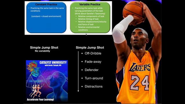 Motor Learning | Constant & Variable Practice смотреть онлайн