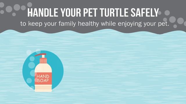 The Trouble with Tiny Turtles смотреть онлайн