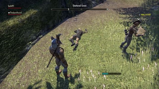 Elder Scrolls Online Walkthrough Part 16 - THE VEILED CHOICE! (Ps4/Xbox One CO-OP Gameplay 1080p HD смотреть онлайн
