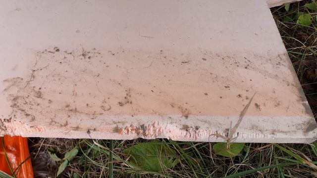 Мыши и ПЕНОПЛЕКС! смотреть онлайн