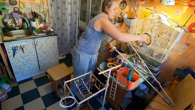 Стенд для попугаев своими руками смотреть онлайн