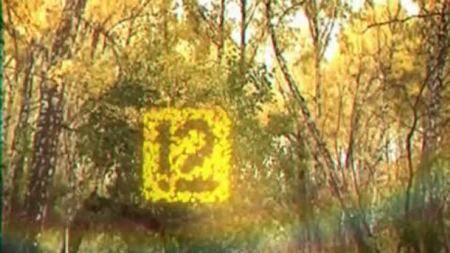 12 канал. Межпрограммные ролики. смотреть онлайн