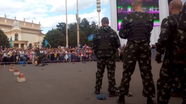 День ВДВ смотреть онлайн
