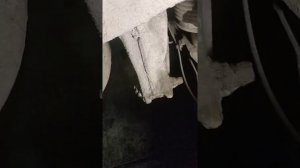 ПРАДО 120. РЕМОНТ ЗАДНЕГО СУППОРТА И ЗАМЕНА САЛЬНИКА ПОЛУОСИ.