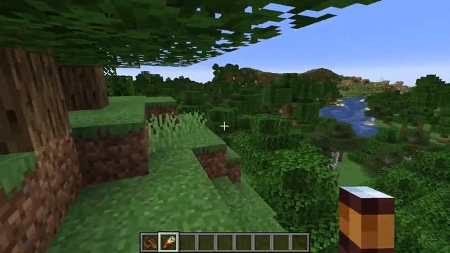 Just How Big Are Large Biomes in Minecraft 1.18? A 10,000 Block Walk! смотреть онлайн