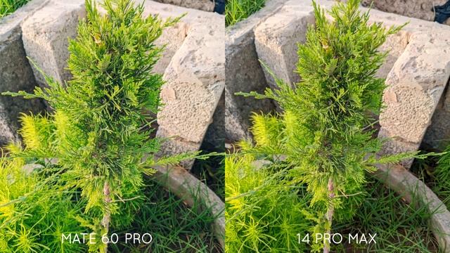 Huawei Mate 60 Pro vs iPhone 14 Pro Max Camera Test смотреть онлайн