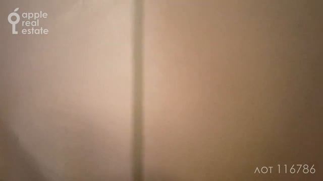 Для лучшей жизни: 215 кв.м в аренду. 3 комнаты. Двухуровневый пентхаус смотреть онлайн