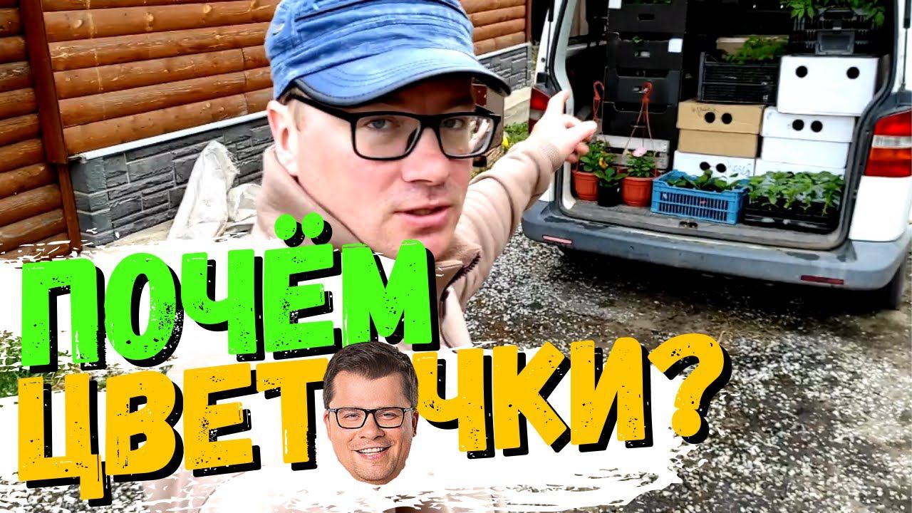 Продолжаем торговать рассадой. Первые проблемы #22 смотреть онлайн