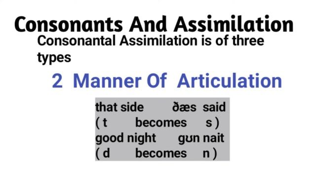 Consonant and vowel assimilations - A guide to linguistics смотреть онлайн