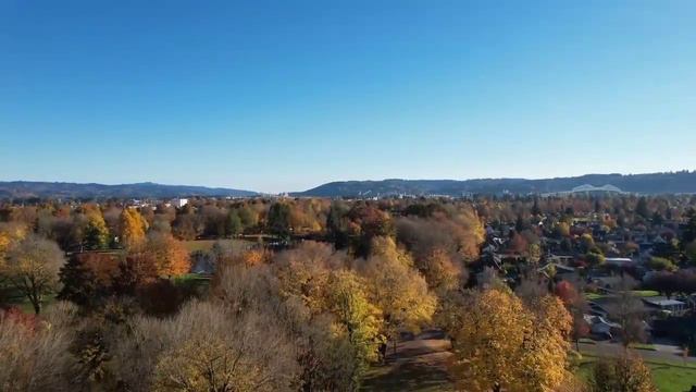 autumn leaves|drone sen|with relaxing music sound|101 second video| смотреть онлайн