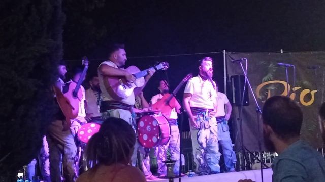 Pasodoble "aún te puedo recordar". "Los Originales". Río Terraza (Sevilla) 15/07/22 смотреть онлайн