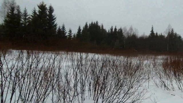 Загонная охота на лося, предновогодний снегопад смотреть онлайн