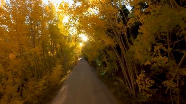 Deep Focus Music To Improve Concentration - Ambient Study And Work Music To Concentrate #256