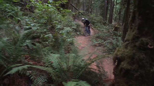 Transition Carbon Patrol 2019 - Пресс-релиз для Declimb Megazine смотреть онлайн