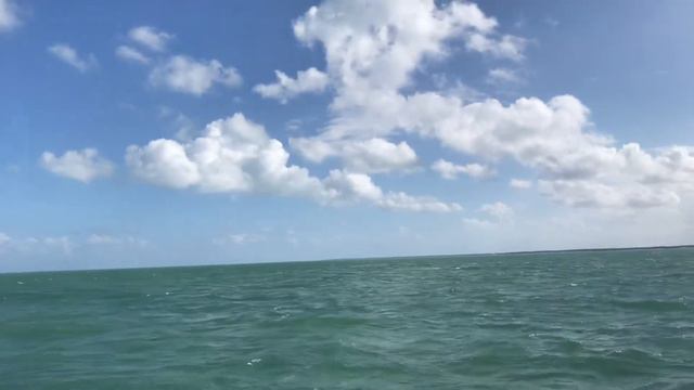 Северный Атлантический океан смотреть онлайн