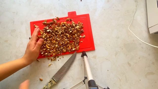 Спортивные Моменты и Забавы