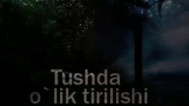 Тушда улик тирилиши смотреть онлайн