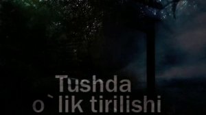 Тушда улик тирилиши