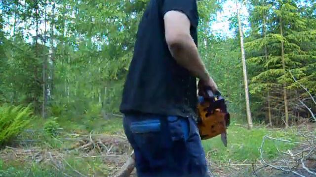 Partner 351 смотреть онлайн