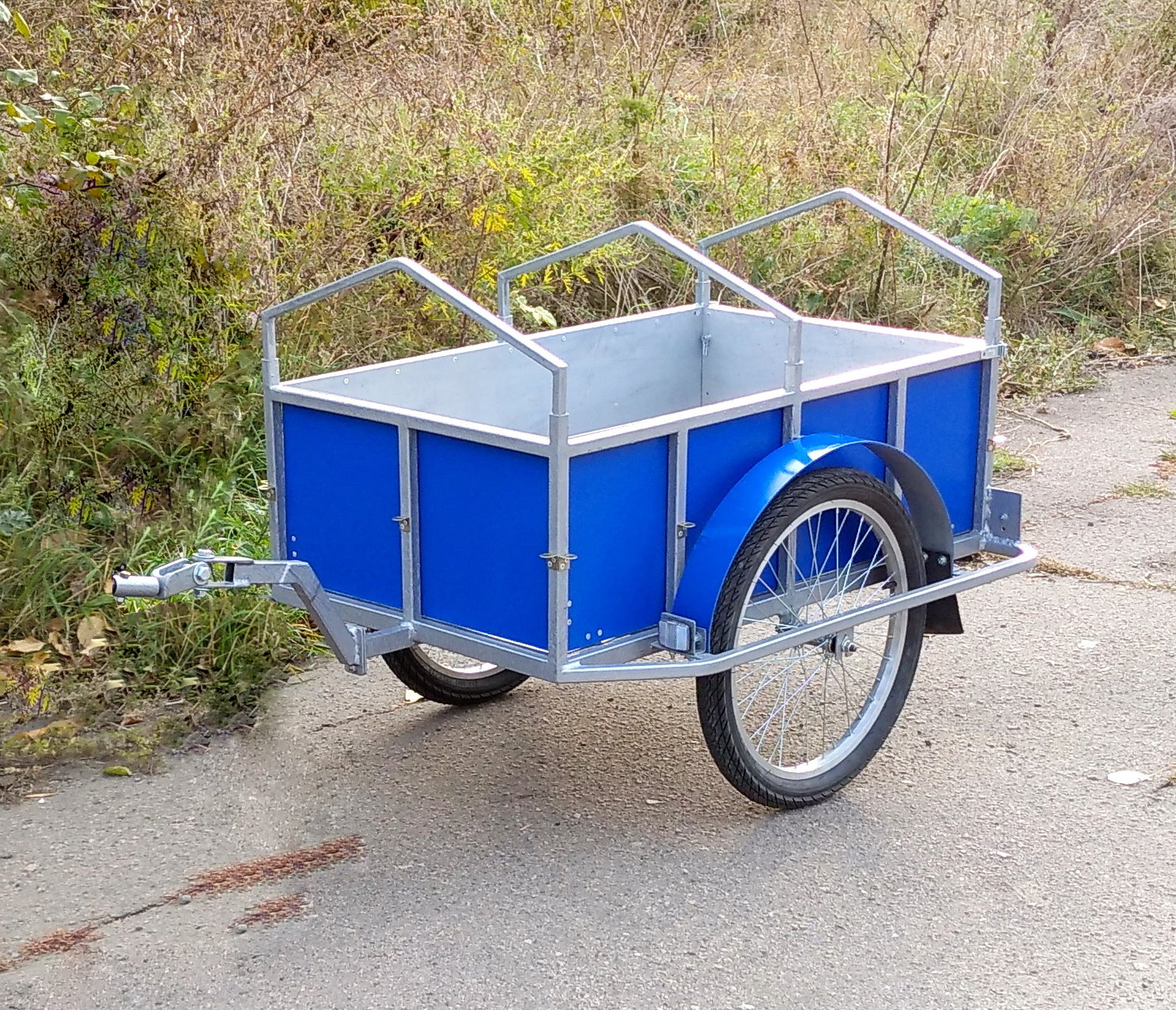 Kugoo V1  и прицеп