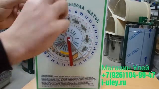 Календарь вывода маток со стрелкой смотреть онлайн