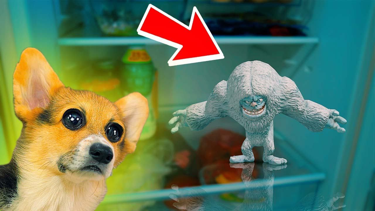 НИКОГДА НЕ ОТКРЫВАЙ ХОЛОДИЛЬНИК В ТРИ ЧАСА НОЧИ! (Корги Кекс) Говорящая собака смотреть онлайн