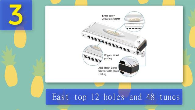 Best Chromatic Harmonica 2024 - Top 5 смотреть онлайн