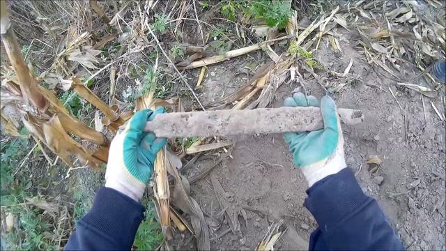 Коп. Золотые початки. Поиск монет и металлолом. смотреть онлайн