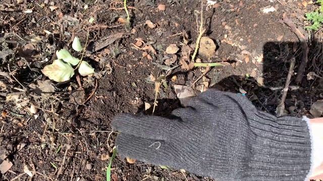 Субботник / Уборка во дворе вместе с мужем/ Уборка придомовой территории/ Мотивация на уборку смотреть онлайн