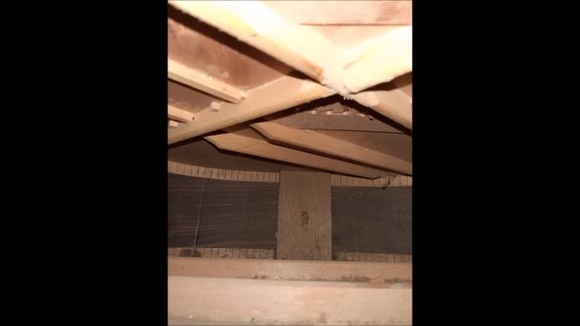 An acoustic Fender смотреть онлайн